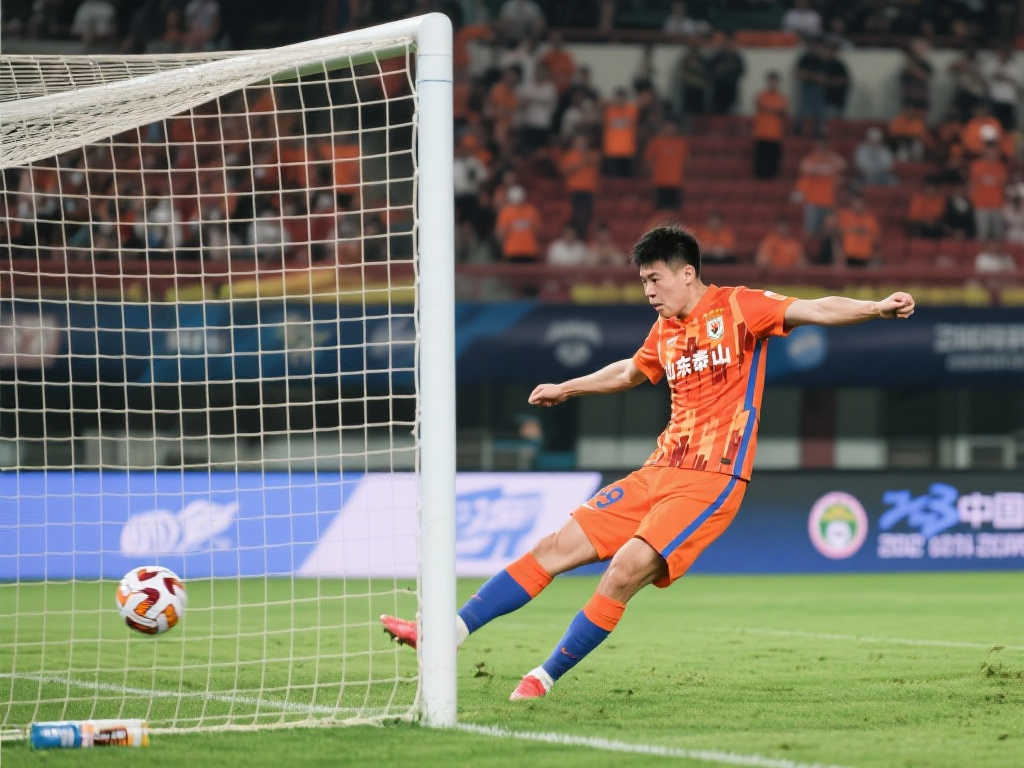 了许多无球 了许多无球